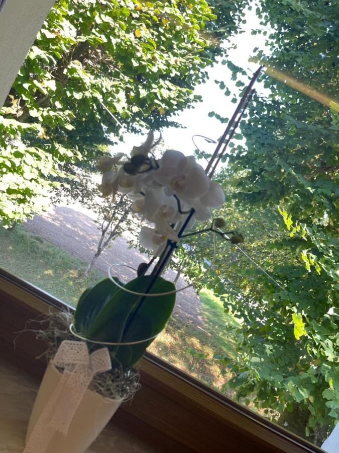 فندق Hohe Tanne Auerbach in der Oberpfalz المظهر الخارجي الصورة